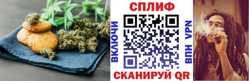 купить   Вятские Поляны  Canna-Cookies марихуана 
