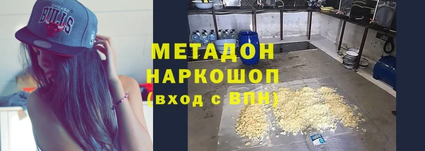 прущие грибы Балабаново