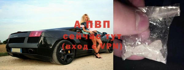 гашик Баксан