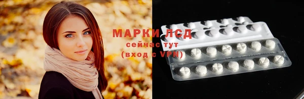 прущие грибы Балабаново