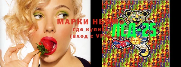 прущие грибы Балабаново
