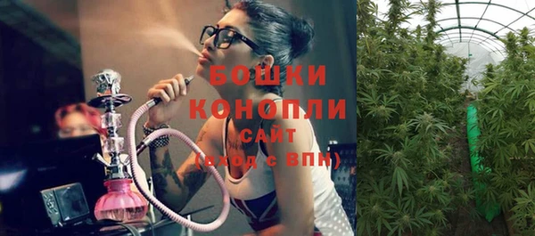 прущие грибы Балабаново