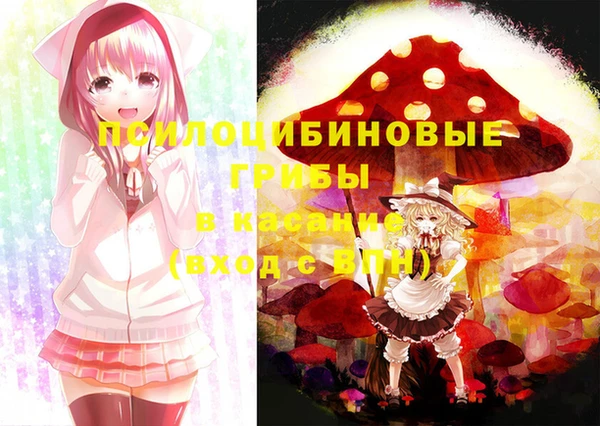 гашик Баксан