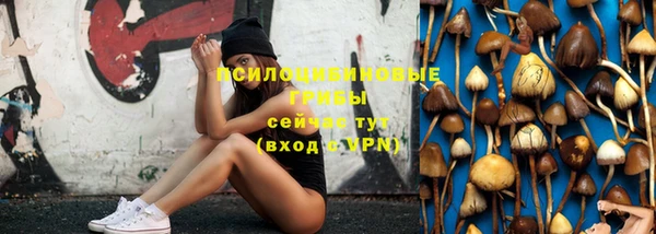 прущие грибы Балабаново