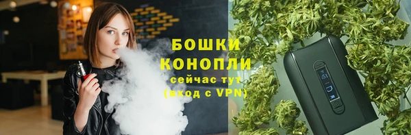 прущие грибы Балабаново