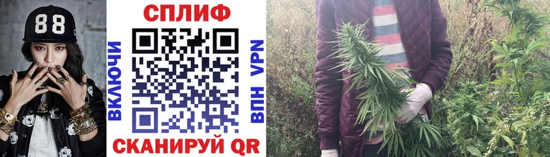 Бошки Шишки конопля  это какой сайт  Вятские Поляны 